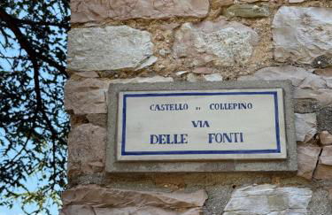 La Terrazza di Collepino - Photo 11