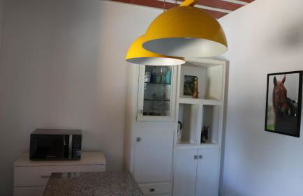 Haras Santa Amalia - Nova União MG - Foto 34