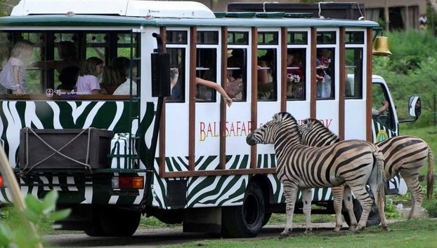 Entrada a Safari and Marine Park - Foto 2