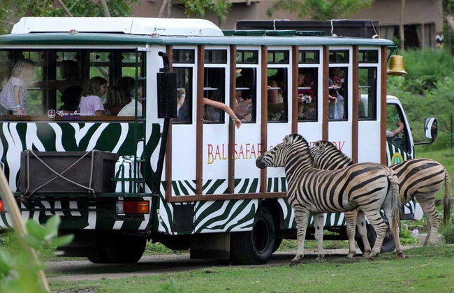 Bali Safari & Marine Park Tickets - Photo 2