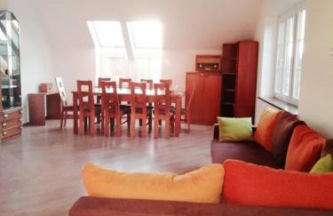 BAJA Gospodarstwo Agroturystyczne - Foto 15