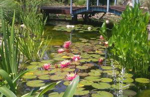 Villa Torre Zisa - Foto 6