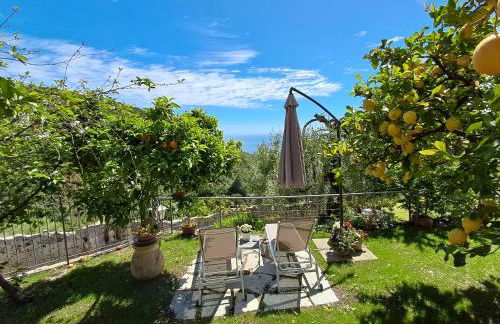 Florinda Lemon's Suite - Foto 3