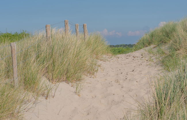 V54 - with parking - Foto 16