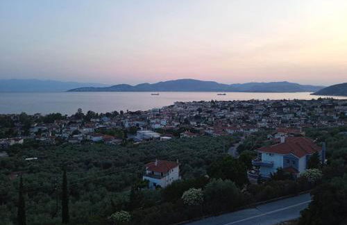 Dream House - Foto 34