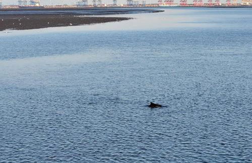 Träumeria - Foto 20