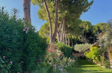 La BouganVillea - Foto 78