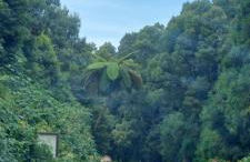 Casa da Ermida - Photo 28