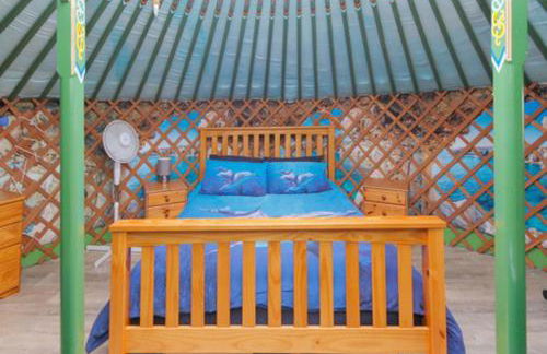 Green Yurt with Hot Tub - Sleeps 3 Parking & Pets - Photo 40