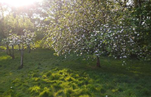 2 Bed in Umberleigh oc-78303 - Photo 20