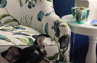 1890 CapeCod farmhouse:Charming, Private, Spacious - Photo 26