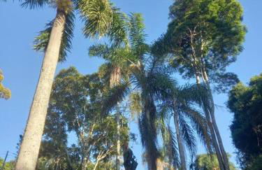 Linda chácara em Ibiuna com lago e piscina - Foto 11