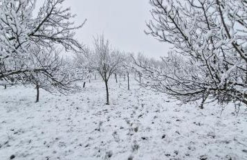 Haus Martha - Foto 21