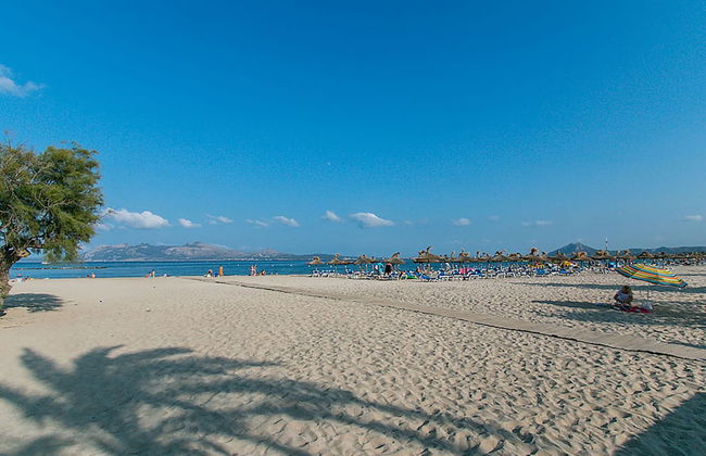 Apartamento Ferragut - Foto 25