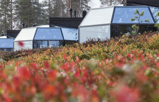 Ranua Resort Arctic Igloos - Foto 49