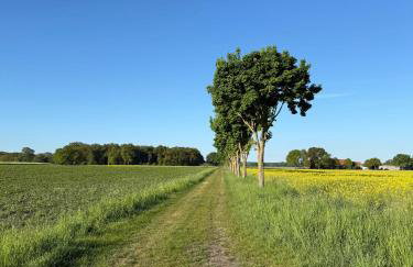 Ferienwohnung Hohenkämpen - Foto 28