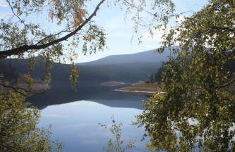 Harzstübl25 - Foto 66