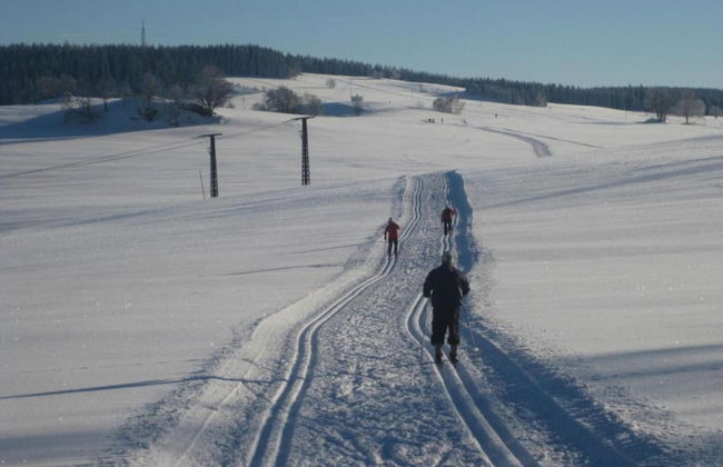 Cozy Ore Mountain Chalet - Foto 33