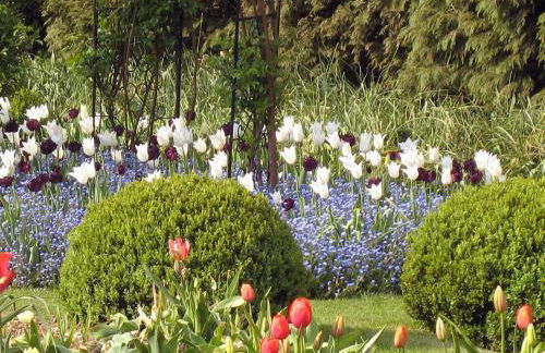 Bookers - Ukc1148 - Foto 19