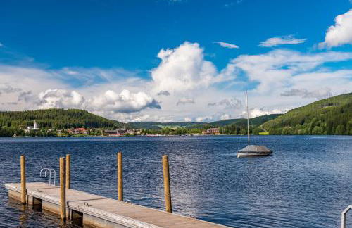 Ferienwohnung im Haus Rhea am Südhang- Feldberg- Falkau - Foto 24