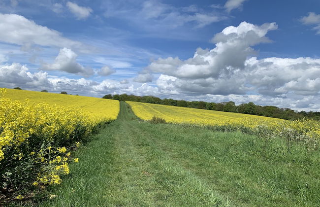 Pet Friendly With Enclosed Leafy Outdoor Space - Foto 15