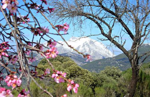 Casas Rurales Cortijos el Encinar - Foto 31