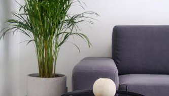 Apartments HUGO 2 - Foto 1