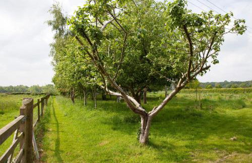 The Lakehouse Apartment by inspirestays-com - Foto 45