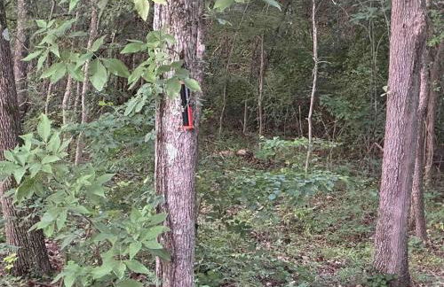 Cottage at JP Coleman - Photo 13