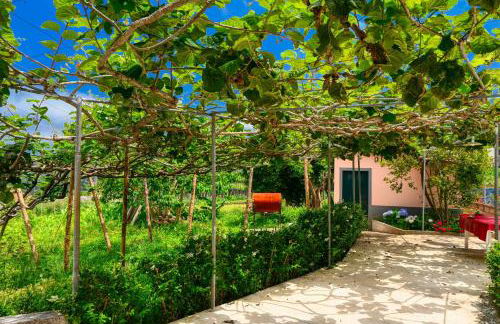 Os Ferreirinhos, a Home in Madeira - Foto 95