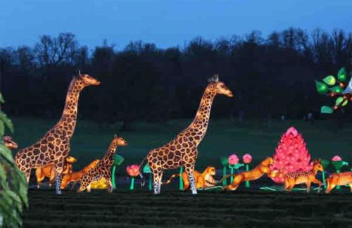 Large historic family home nr Longleat and Bath - Foto 23