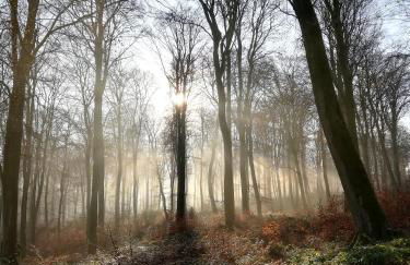 O loft des Croisiens - Foto 29
