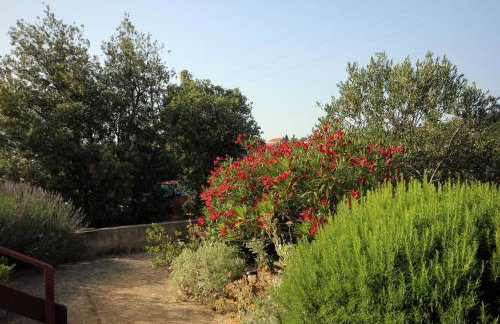 Apartments with parking space Zaglav, Dugi otok - 878 - Foto 29