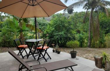 Abelha & Peixe Boi - Photo 24