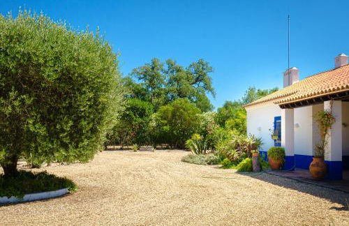 Casa Oleandra - Foto 31