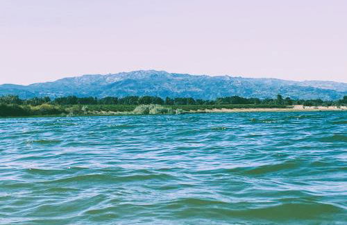 Encanto Casa com Spa Jacuzzi Open Space Castelo Branco - Foto 52