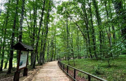 Arcaroli Borgo Vico "La Bomboniera" - Foto 9