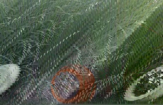 Apartkomplex Sorrento Sole Mare - Photo 67