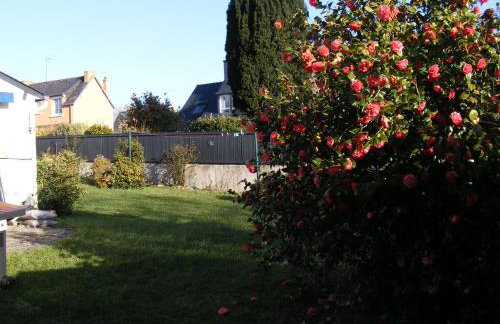 La Glycine - Foto 16