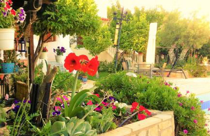 Jacuzzi Pool House AMA5690 - Foto 12