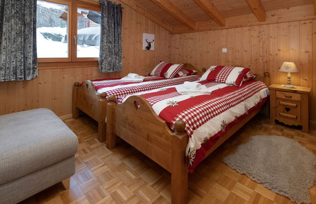 Ecureuil noir - Foto 17