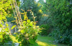 Biburg86420 - Foto 24