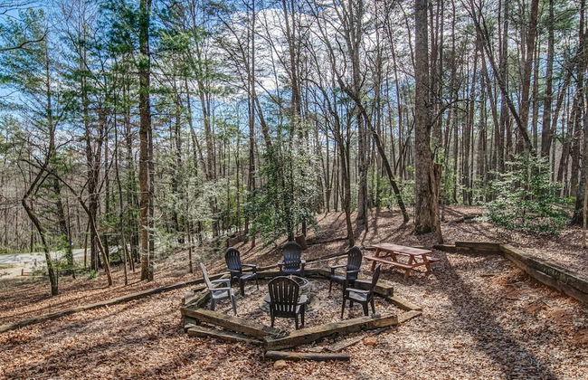 Blueridge Cabin Serene Forest Retreat! - Foto 26