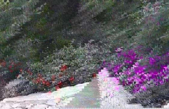 Villetta Immersa nel Verde Torre Guaceto - Photo 29