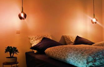 Le Loft Pasteur - Foto 6