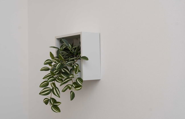 Apartments Nikolina - Foto 54