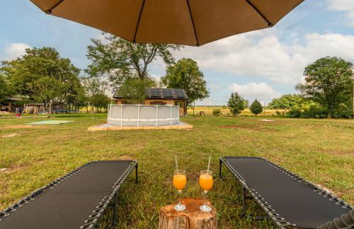 Forest Paradise - Foto 37