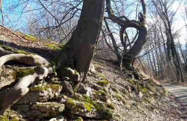 Home&Classic Erlebnisscheune - Photo 57