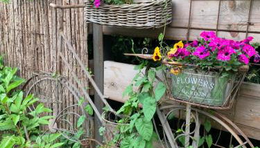 Ferienwohnung Hoffmann - Foto 3, Garden