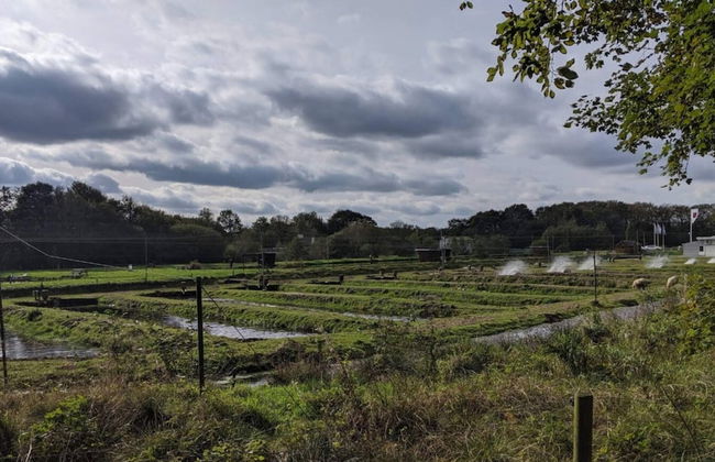 4 Person Holiday Home in Hovborg - Foto 18